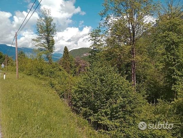 Prato e bosco in valle di sella 15000 mq