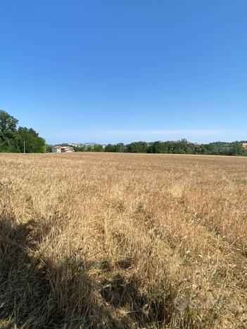 Terreno edificabile - Magliano di Tenna