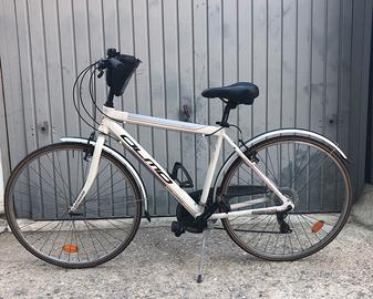 Bici olmo