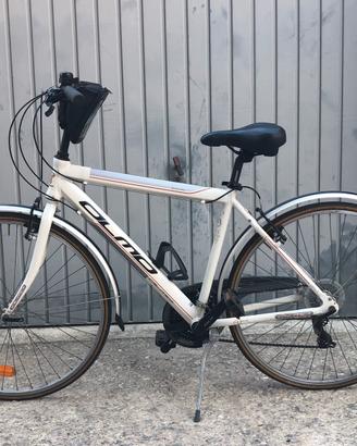 Bici olmo