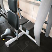 Panca Spinte Spalle Technogym Professionale
