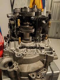 cambio dsg 6 marce Volkswagen golf 