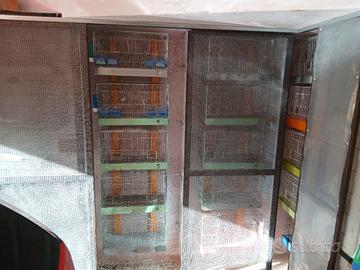 Gabbie da cova da 60