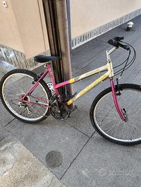 biciclette varie