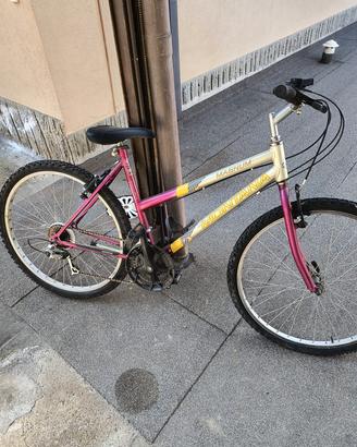 biciclette varie