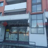 Negozio Busto Arsizio [Cod. rif 3210081VCG]