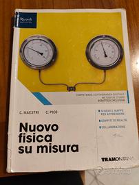 Nuovo fisica su misura 