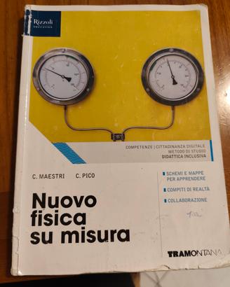 Nuovo fisica su misura 