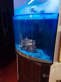 acquario marino