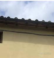 Appartamento – Pistoia, Campiglio - Vista 3