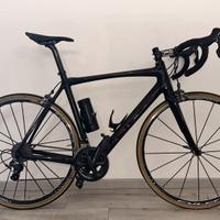 Ciocc Morpho Carbon