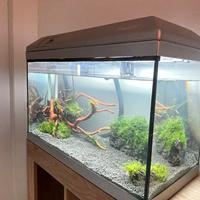 Acquario askoll