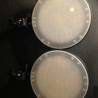 Faretti led 45 W temperatura calda/fredda