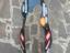 Immagine 5