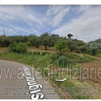 Terreno Agricolo Pianopoli [A4321344]