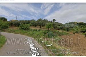 Terreno Agricolo Pianopoli [A4321344]