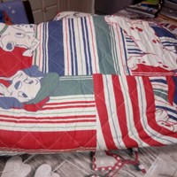 Due cuscini Disney uno letto uno relax