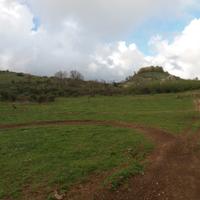 Terreno agricolo di 16 ettari
