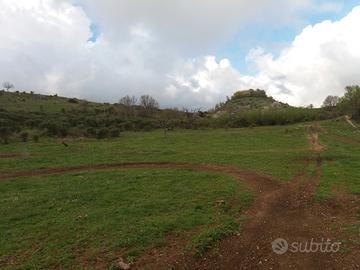Terreno agricolo di 16 ettari