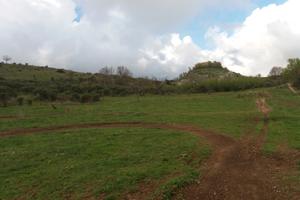 Terreno agricolo di 16 ettari