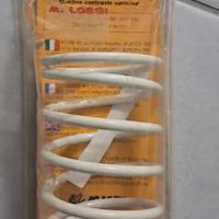 molla frizione Malossi