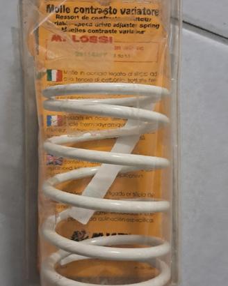 molla frizione Malossi