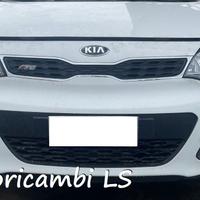 Kia Rio anno 2016