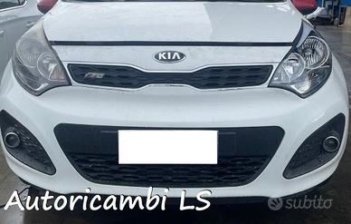 Kia Rio anno 2016