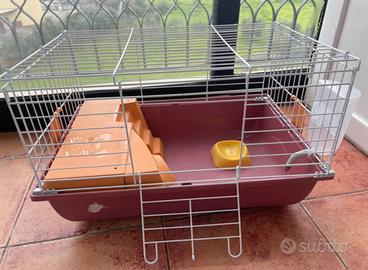 Gabbia per conigli