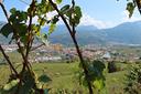 terreno-agricolo-isera-tn-