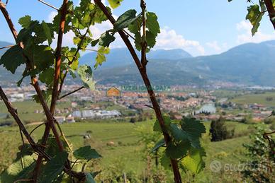 Terreno agricolo - Isera (TN)