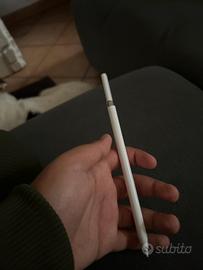 Penna apple per ipad