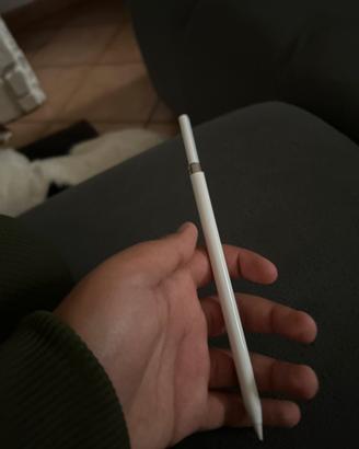 Penna apple per ipad