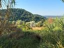 ter-agricolo-a-magliano-sabina
