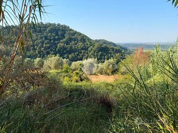 TER. AGRICOLO A MAGLIANO SABINA