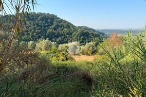 TER. AGRICOLO A MAGLIANO SABINA