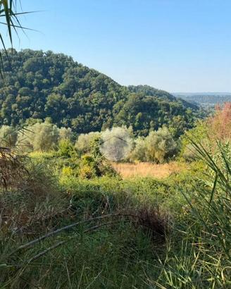 TER. AGRICOLO A MAGLIANO SABINA