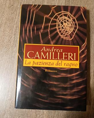 La pazienza del ragno 