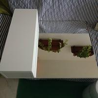 specchiera bagno con anta