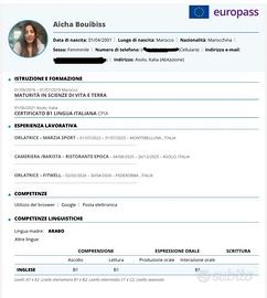 cameriera, comessa, barista…