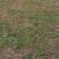 Terreno pianeggiante fronte strada