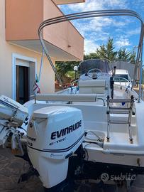 EVINRUDE 75 e-tec i.e.