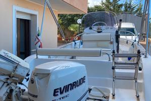 EVINRUDE 75 e-tec i.e.