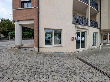 NEGOZIO A MONTICHIARI