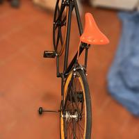 Bicicletta a scatto fisso