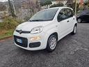 fiat-panda-1-2-easy-5-posti
