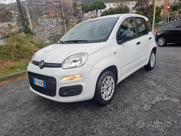 Fiat Panda 1.2 Easy 5 Posti