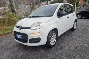 Fiat Panda 1.2 Easy 5 Posti