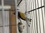 Immagine 6
