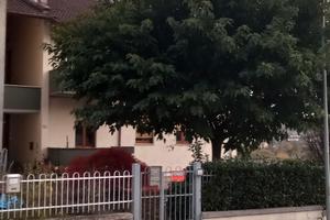 2 appartamenti in palazzina bifamiliare